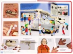 Dinosaury Prečo boli také veľké? – Obrázok 4