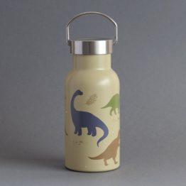 dbssdi40-lr-4-stainless-steel-drink-bottle-dinosaurs