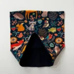 Kiwi nákrčník - zvieratká – Obrázok 2