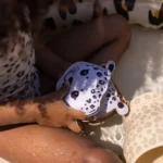 Hračky do vody na potápanie Leopard 3 ks – Obrázok 4